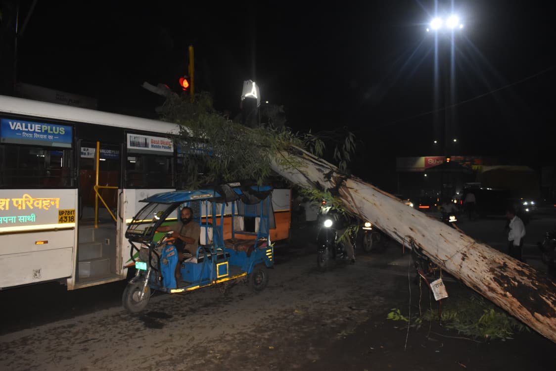 मेरठ : मौत बनकर गिरा पेड़, बाल-बाल बचे 40 यात्री